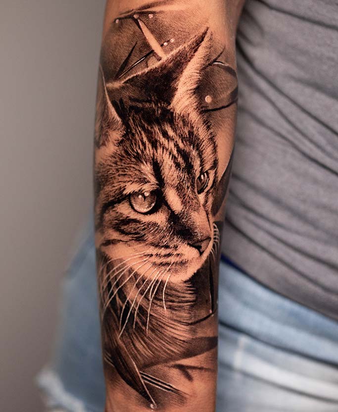 Carp Tattooed Cat cat tattoo japanese catana  Instagram